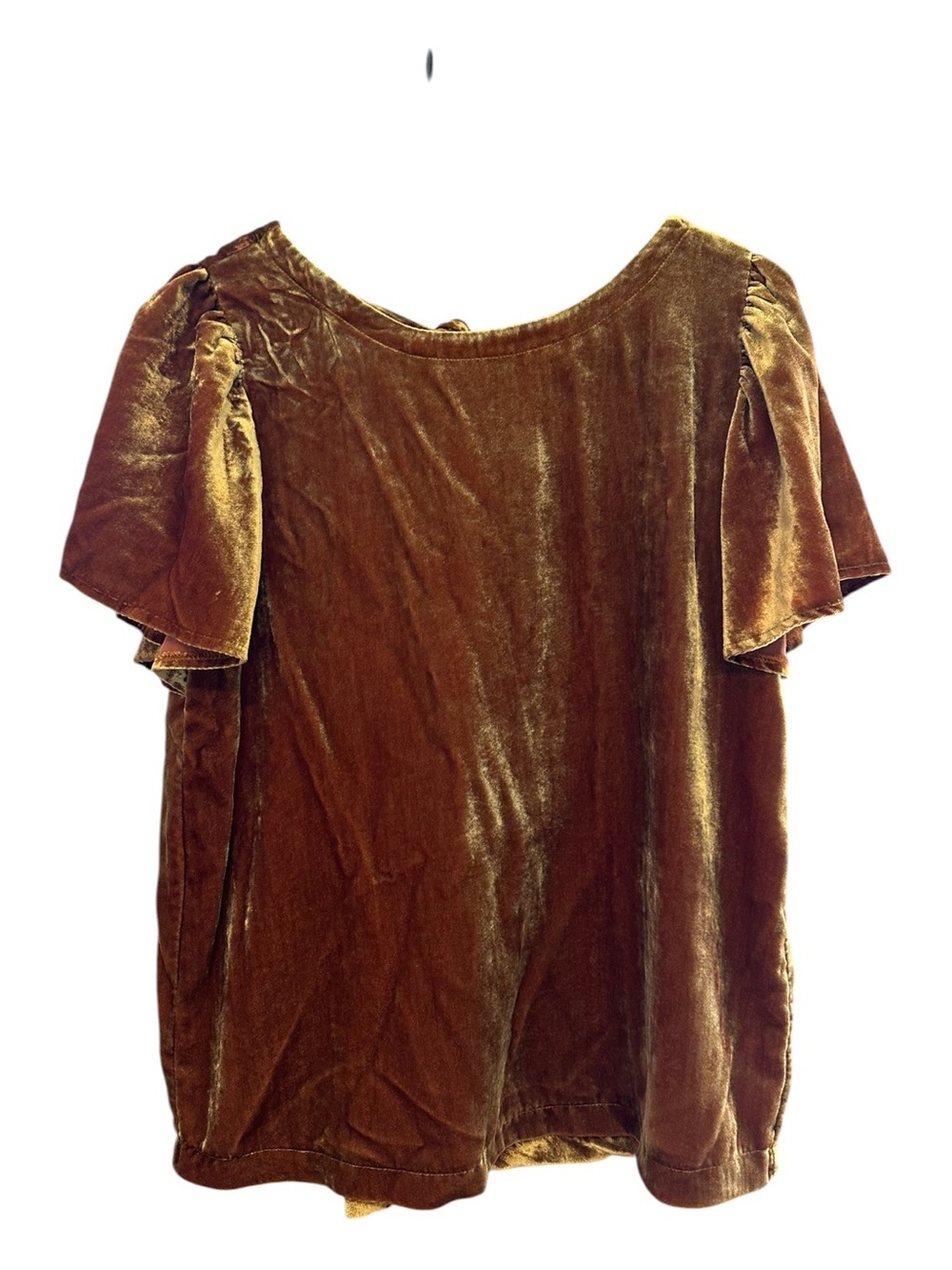 LOFT Velvet Burnout Short Sleeve Blouse - Copper Tone Size XS